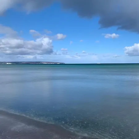 Seeadler Mit Meerblick Binz