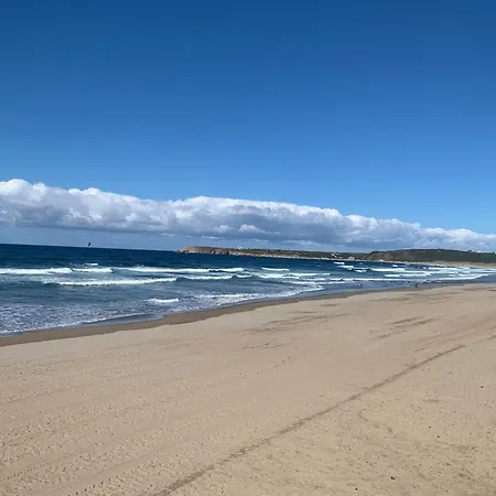 Seeadler Mit Meerblick Binz