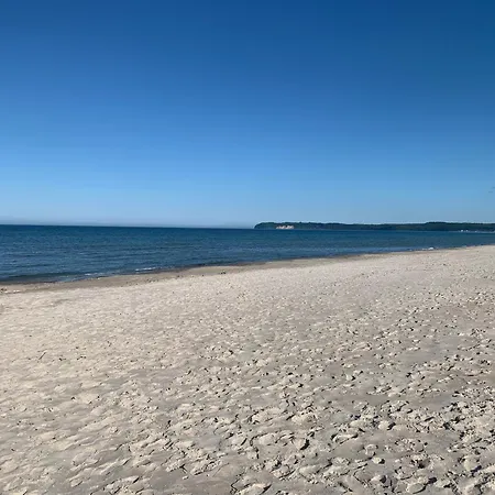 Seeadler Mit Meerblick * Binz
