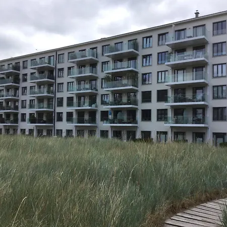 Seeadler Mit Meerblick Apartment