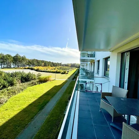 Seeadler Mit Meerblick