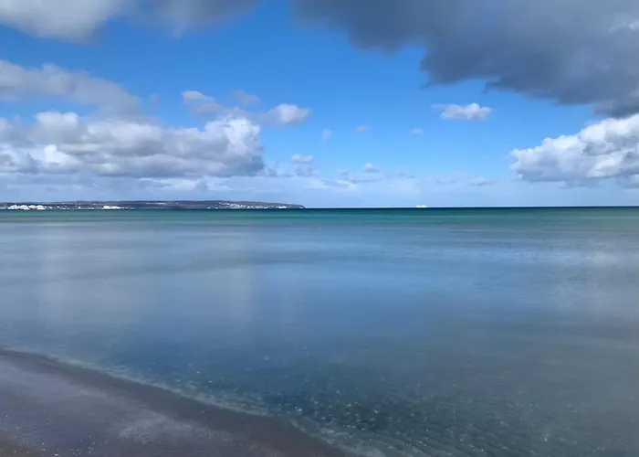 Seeadler Mit Meerblick Binz