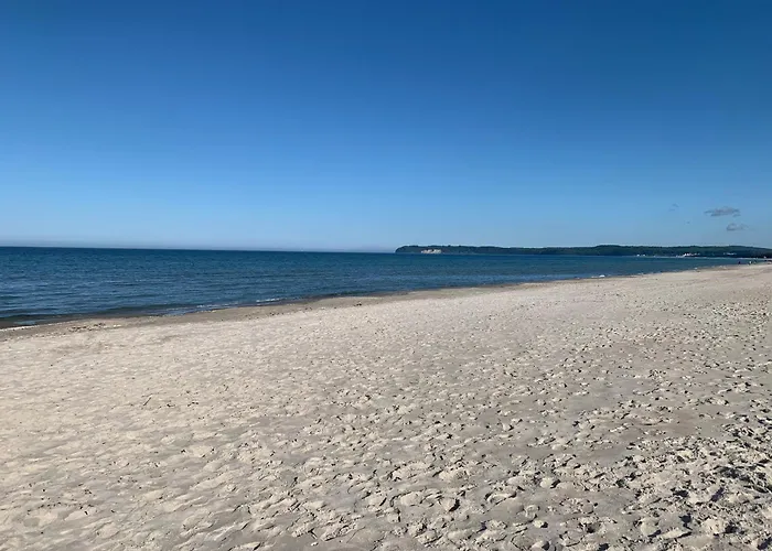 Seeadler Mit Meerblick * Binz